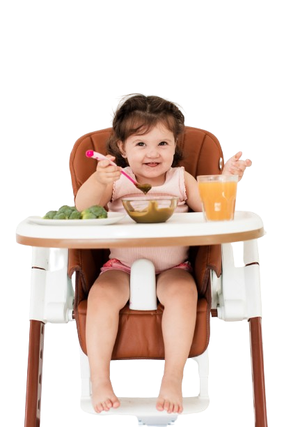 Nurturing Wisdom-Baby Food and Nutrition